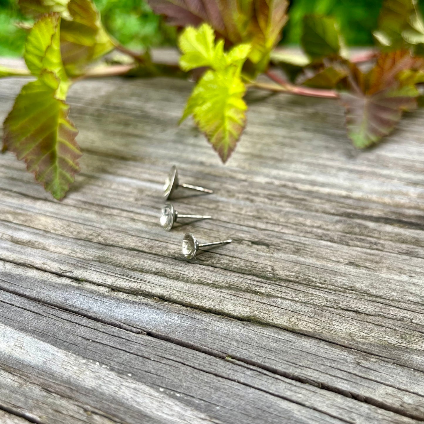 Faceted Stud Earring