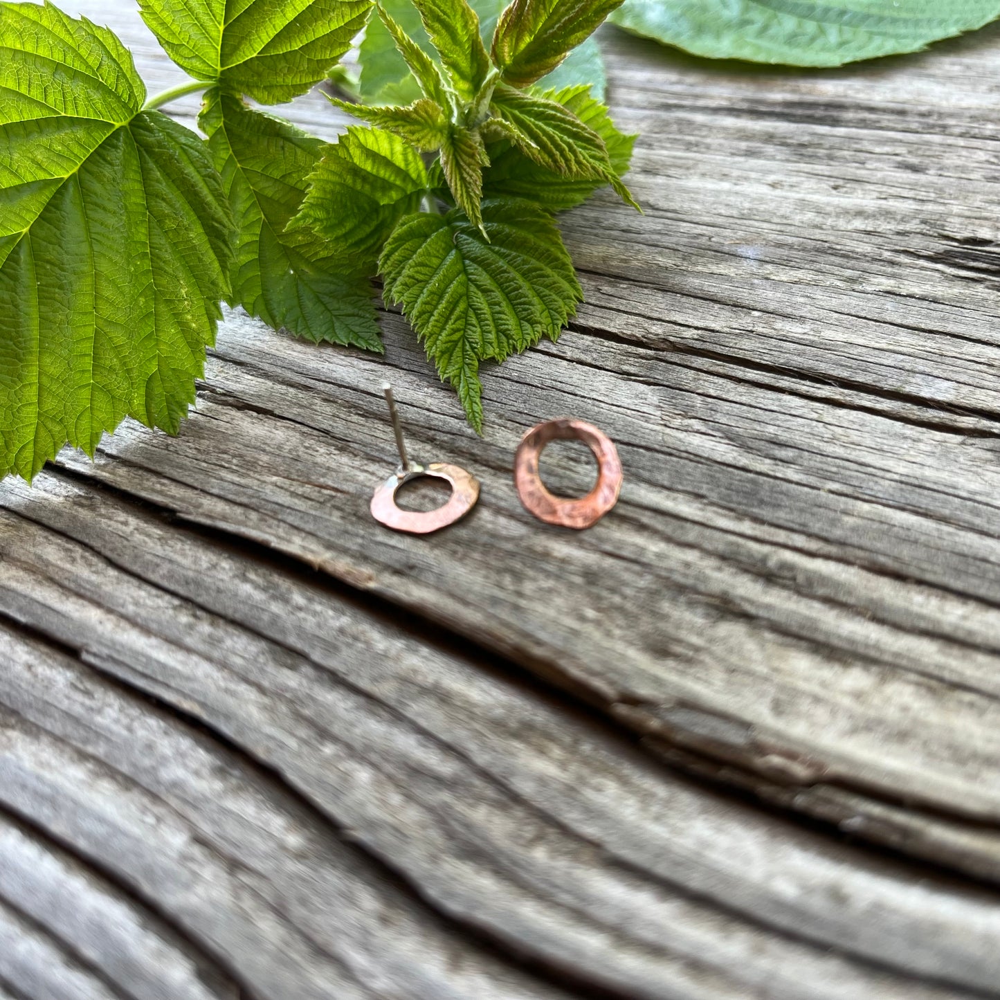 Full Circle Post Earring