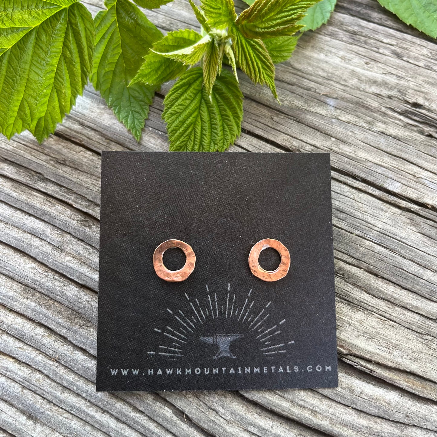 Full Circle Post Earring