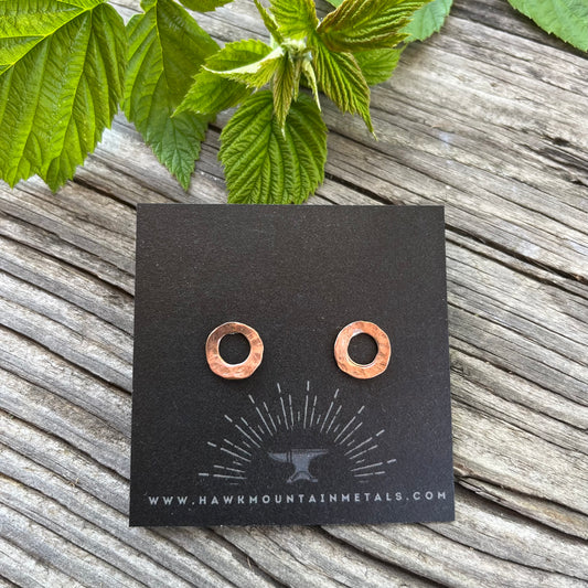 Full Circle Post Earring